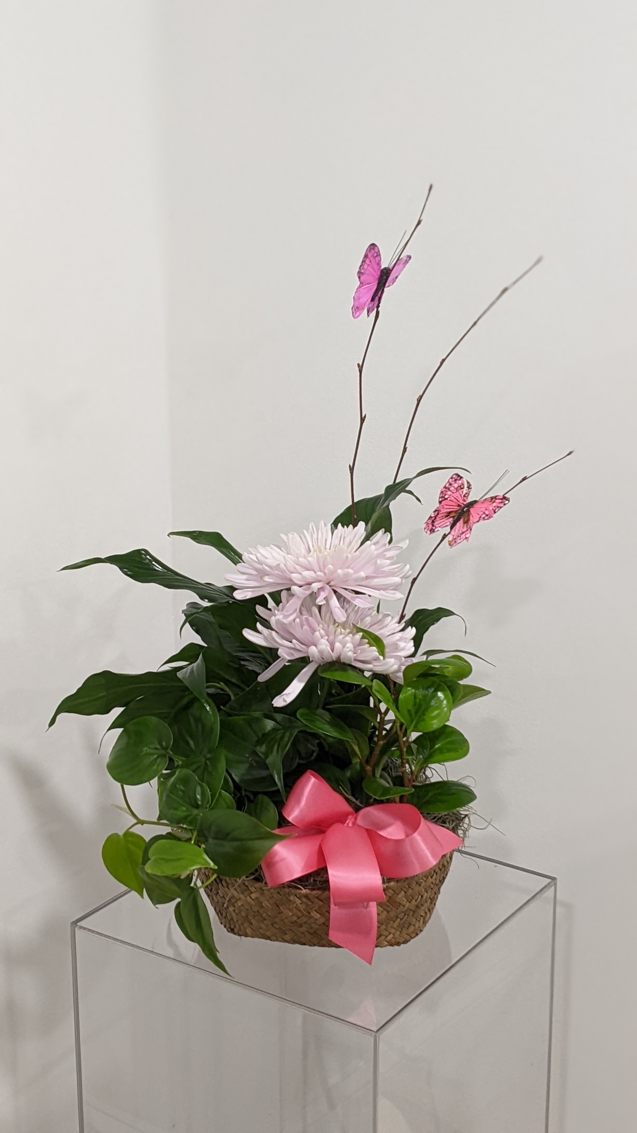 Classic dish garden with fresh flowers
