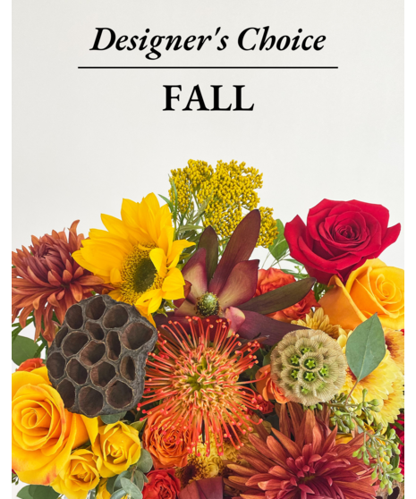Designer's choice Fall