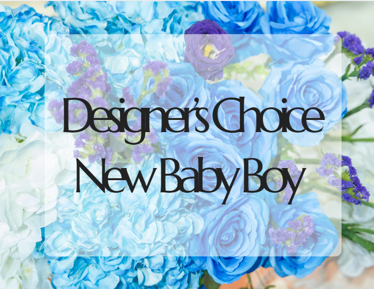 Designer's Choice New Baby (boy)